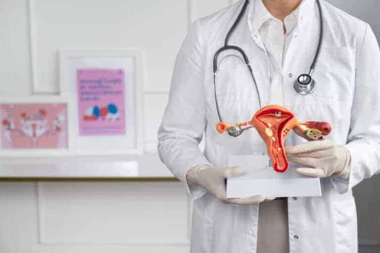Lekarz trzyma model anatomiczny macicy z jajnikami i jajowodami.