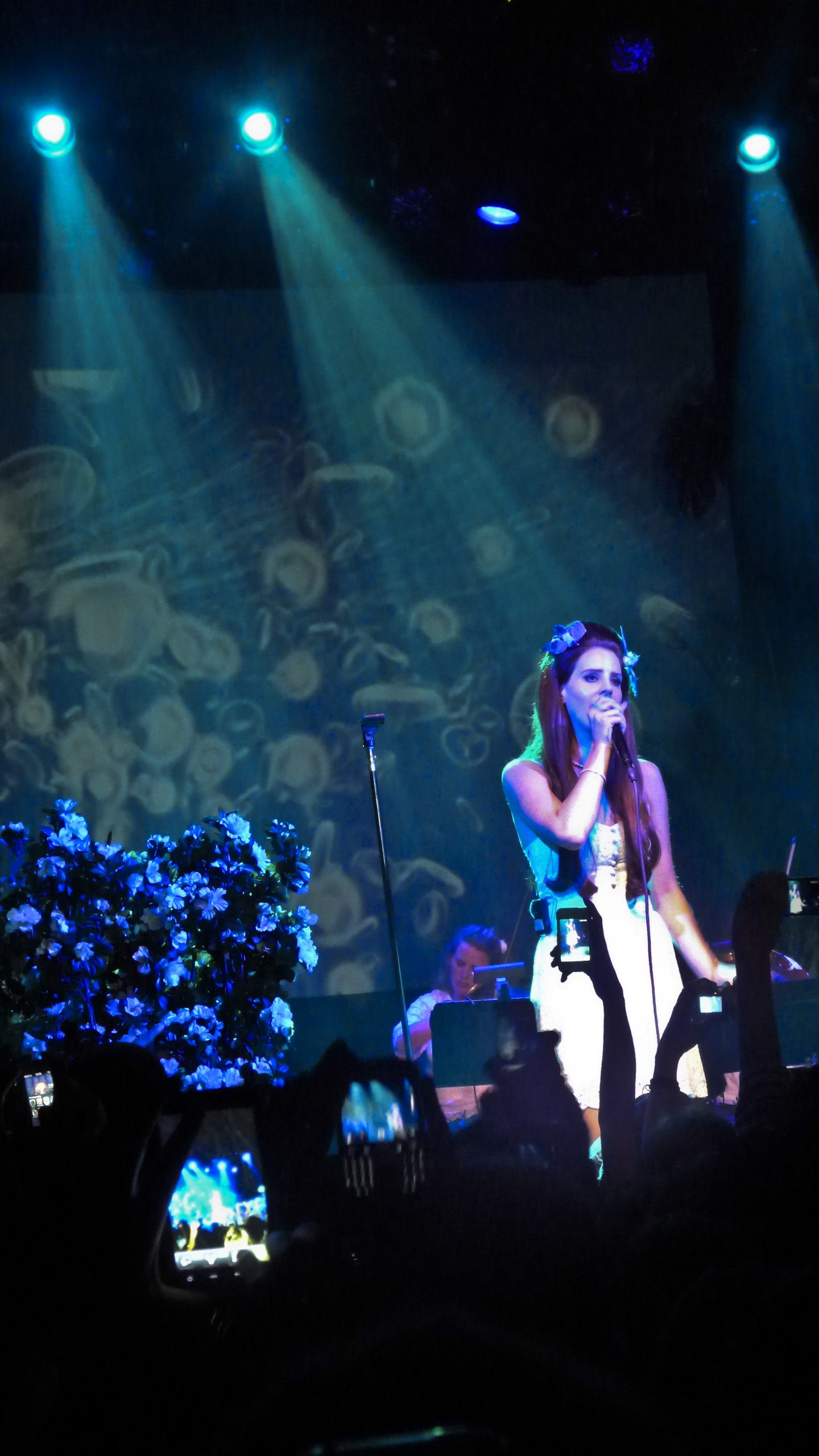 Lana Del Rey podczas koncertu w Irving Plaza w Nowym Jorku 7 czerwca 2012 roku