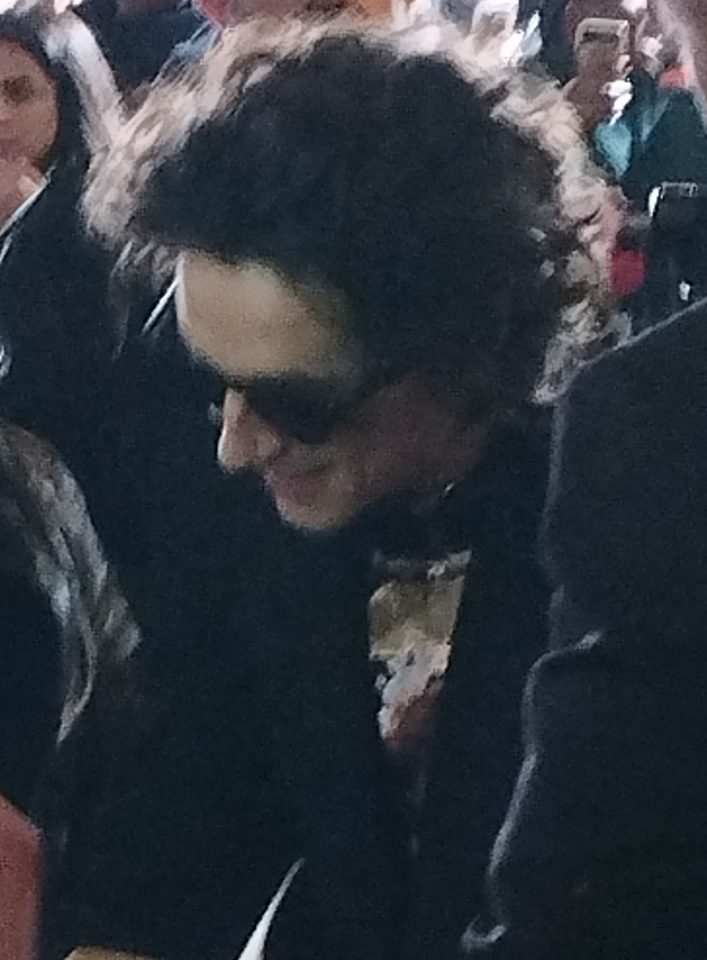 Timothée Chalamet na paryskiej premierze filmu Diuna: Część druga w 2024 roku